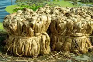 Jute and handicrafts sourcing agent in Bangladesh